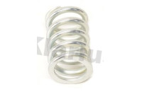 Mounting spring 213 / CIVIC