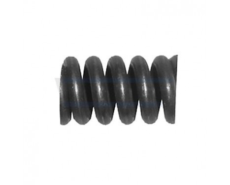 Mounting spring, damper