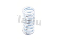 Mounting spring FORD