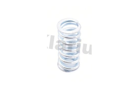 Mounting spring FORD