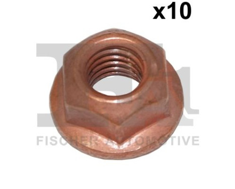 Nut 10 pcs.