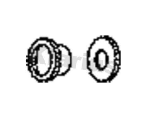 Ring PSA
