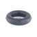 Rubber Strip, exhaust system