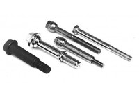 Screw, exhaust system