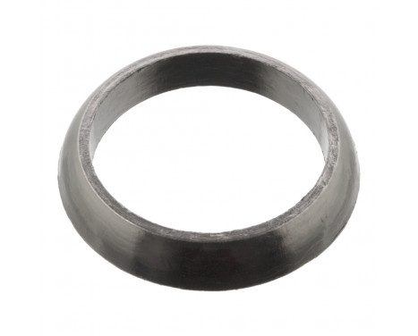 Seal Ring, charger