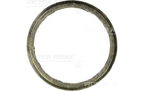 Seal Ring, exhaust pipe