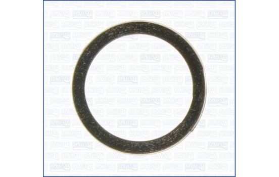 Seal Ring, exhaust pipe