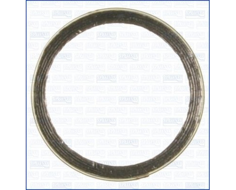 Seal Ring, exhaust pipe