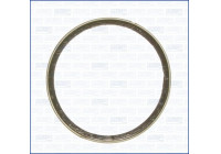 Seal Ring, exhaust pipe