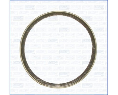 Seal Ring, exhaust pipe