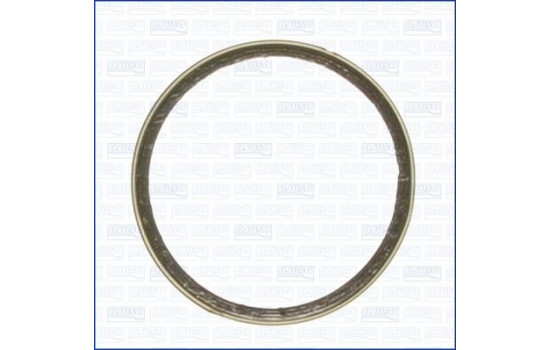 Seal Ring, exhaust pipe