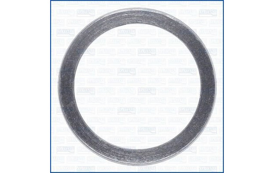 Seal Ring, exhaust pipe