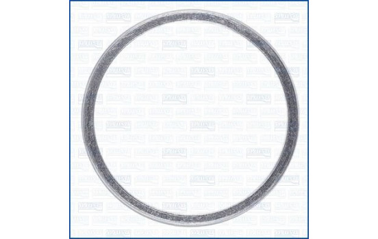 Seal Ring, exhaust pipe