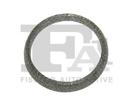 Seal Ring, exhaust pipe