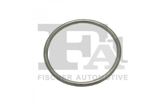 Seal Ring, exhaust pipe