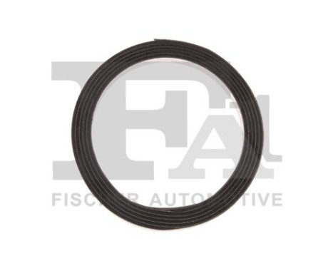 Seal Ring, exhaust pipe