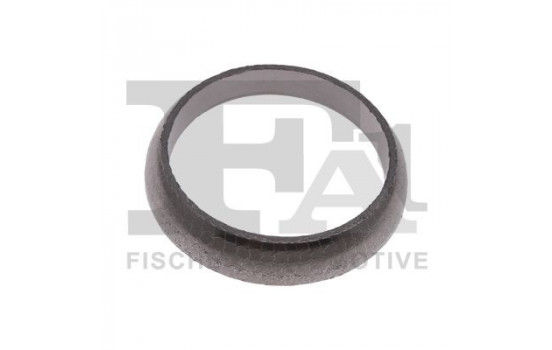 Seal Ring, exhaust pipe