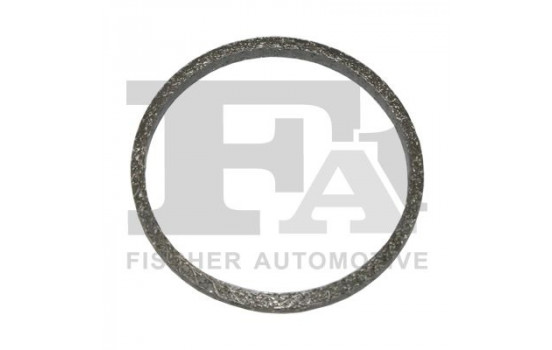 Seal Ring, exhaust pipe