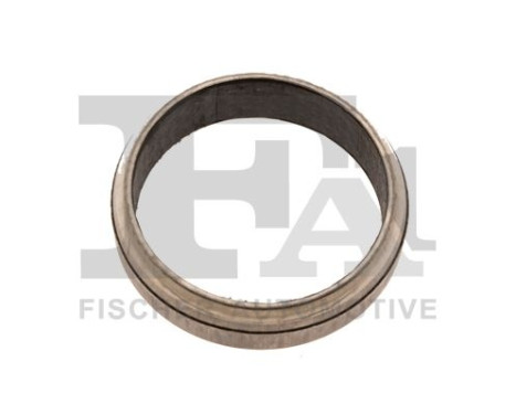 Seal Ring, exhaust pipe