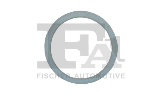 Seal Ring, exhaust pipe