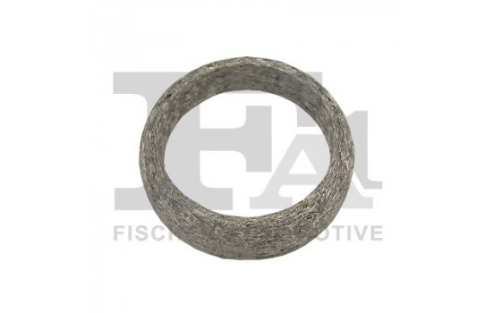 Seal Ring, exhaust pipe