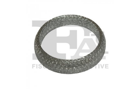 Seal Ring, exhaust pipe