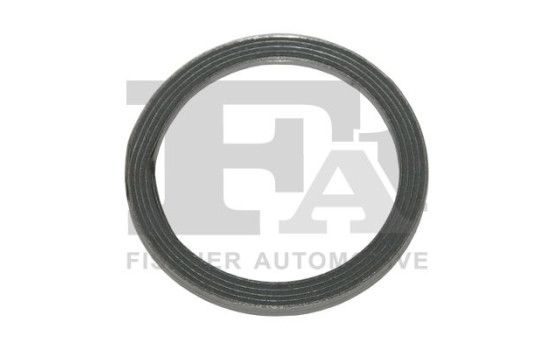 Seal Ring, exhaust pipe