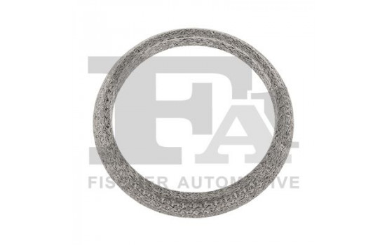 Seal Ring, exhaust pipe