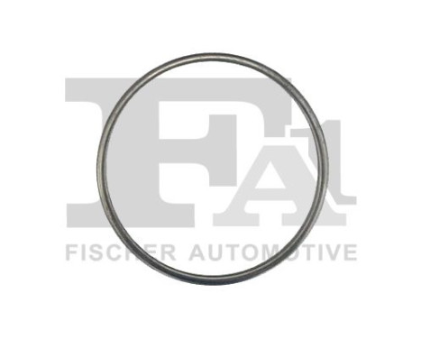 Seal Ring, exhaust pipe