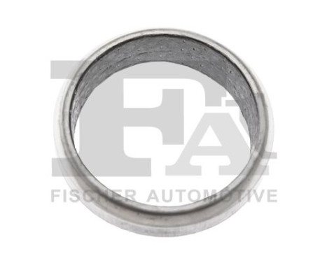 Seal Ring, exhaust pipe