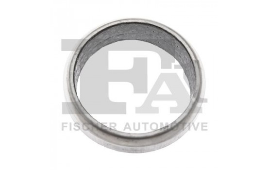 Seal Ring, exhaust pipe