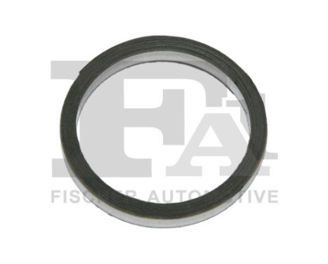 Seal Ring, exhaust pipe