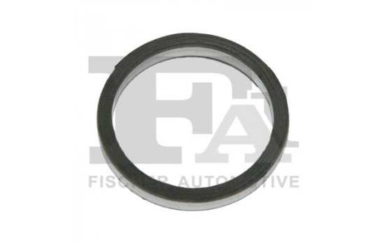 Seal Ring, exhaust pipe