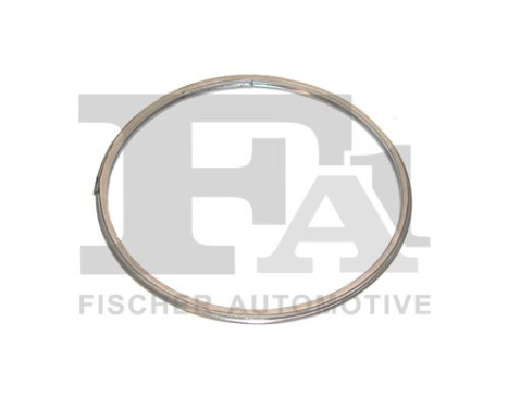 Seal Ring, exhaust pipe