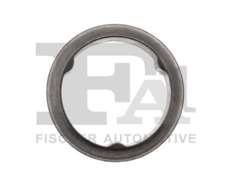 Seal Ring, exhaust pipe