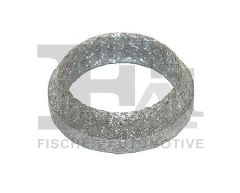 Seal Ring, exhaust pipe