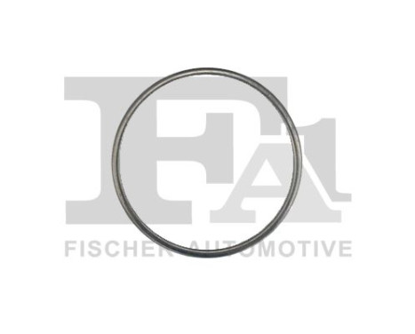 Seal Ring, exhaust pipe