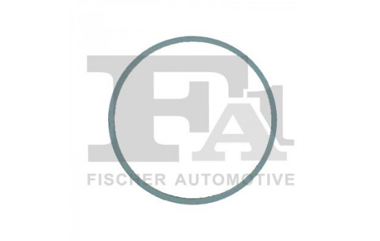 Seal Ring, exhaust pipe