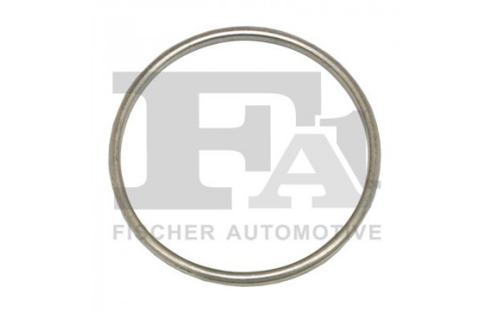 Seal Ring, exhaust pipe