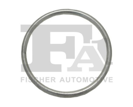 Seal Ring, exhaust pipe