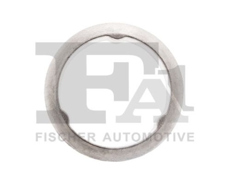 Seal Ring, exhaust pipe