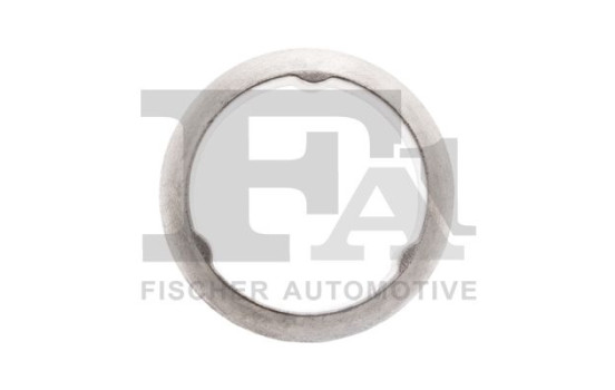 Seal Ring, exhaust pipe