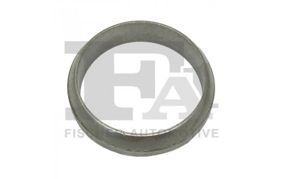 Seal Ring, exhaust pipe