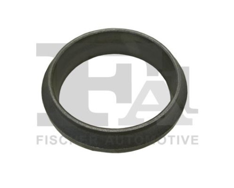 Seal Ring, exhaust pipe