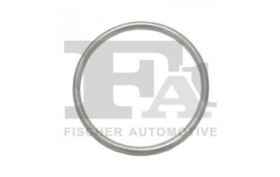 Seal Ring, exhaust pipe