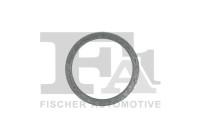 Seal Ring, exhaust pipe