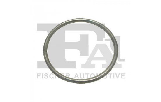 Seal Ring, exhaust pipe