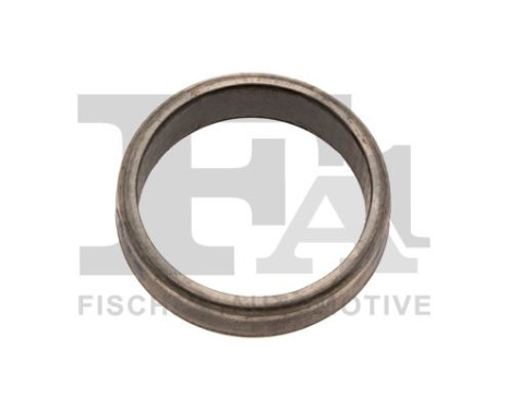 Seal Ring, exhaust pipe
