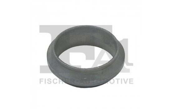 Seal Ring, exhaust pipe