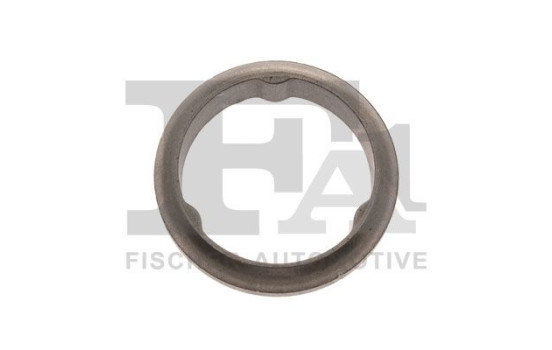 Seal Ring, exhaust pipe